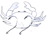 Hamecons en paralleles ou whishbone pour peche au bar au crabe Hamecons en paralleles ou whishbone pour peche au bar au crabe