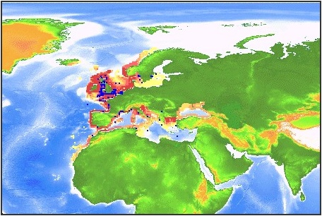 Repartition geographique du bar en Europe