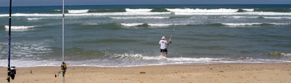 Bar en surfcasting : sur la plage